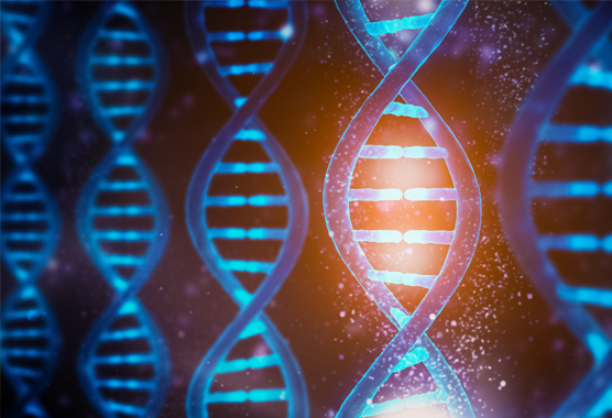 dna strands
